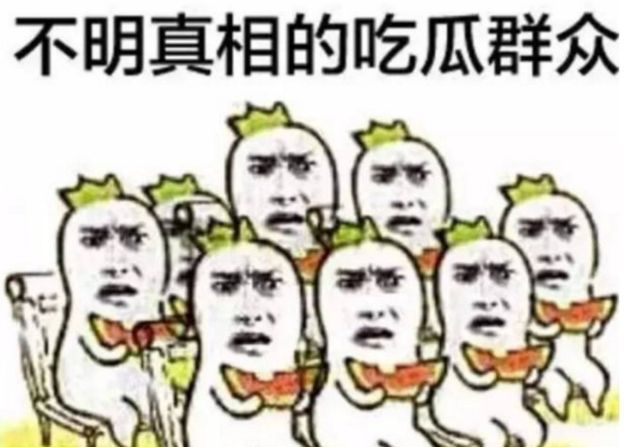 吃瓜观众 Melon-Eating Crowd | Top 4 Funny Chinese Phrases of 2016 by That's Mandarin