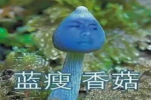 蓝瘦香菇 Skinny Blue Mushroom | Top 4 Funny Chinese Phrases