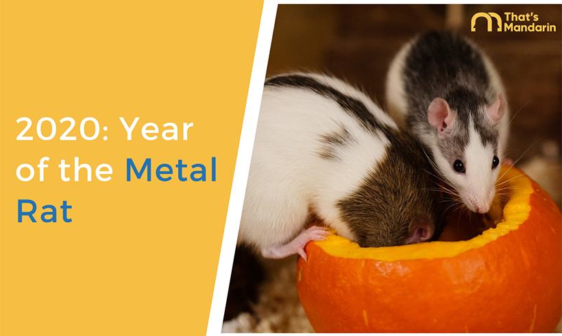 2020: Year of the Metal Rat