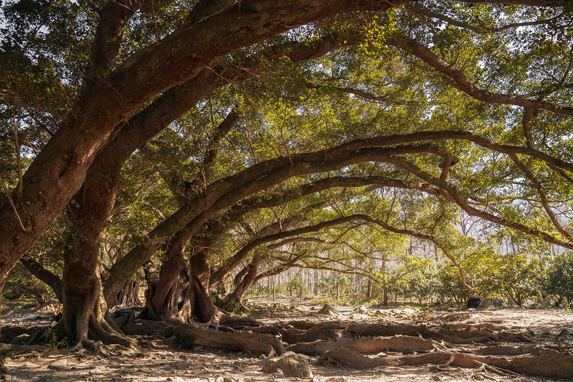 5 Off The Beaten Track Places In China Thats Mandarin