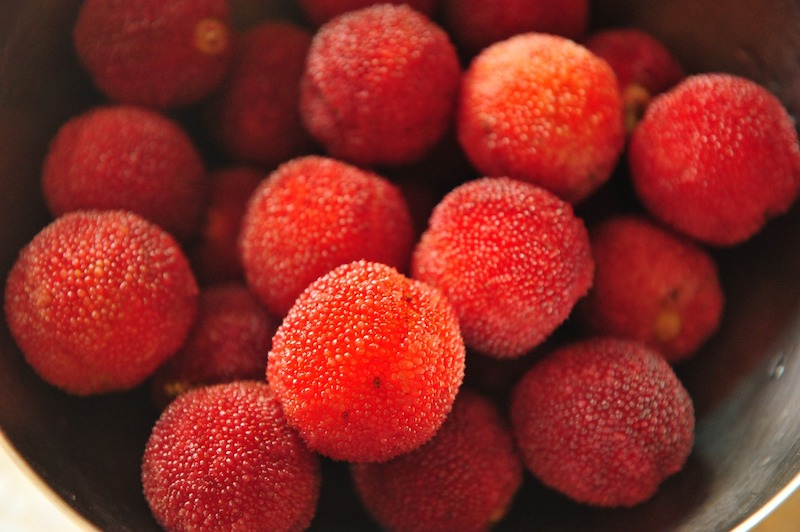 Bayberry | 8 Unusual Chinese Fruits